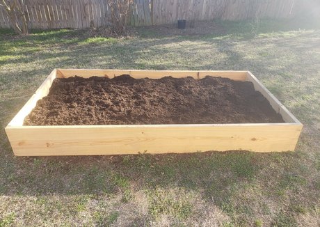 veronikaplants sexy perfekte foto