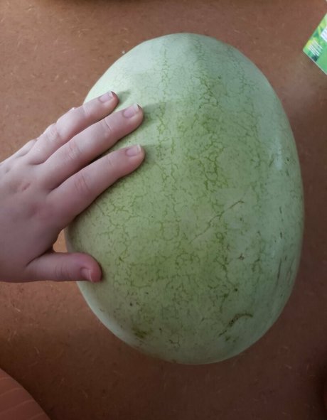 veronikaplants beste nette bilder