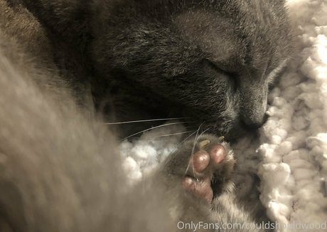 couldshouldwood schauspielerin schöne archiv