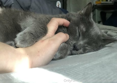 couldshouldwood kunst pornographische bilder