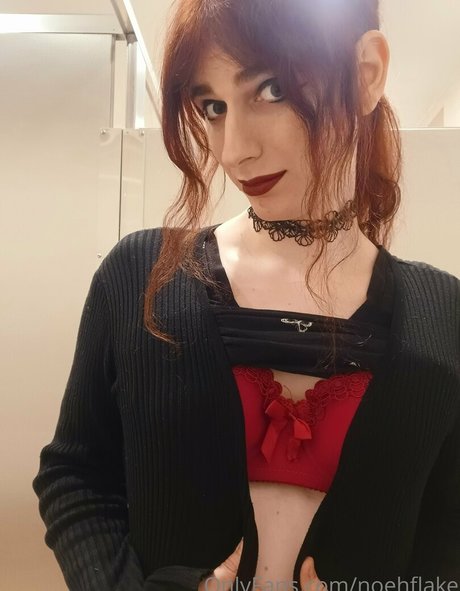 noehflake schöne nacktheit bild