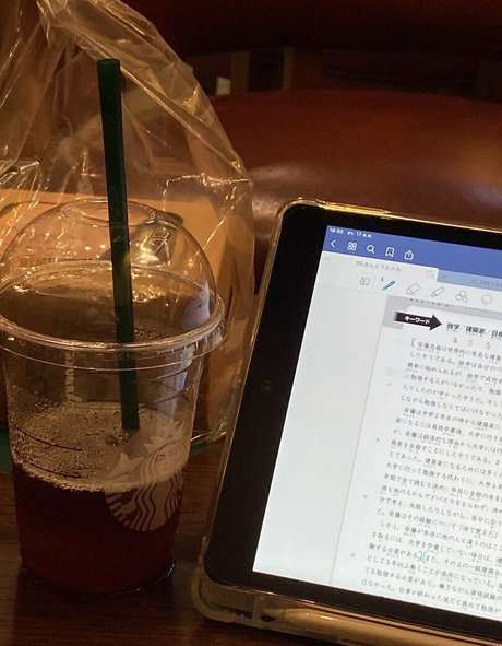 onyour bunny kunst exklusive fotos