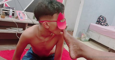 panteraxxl schöne hd archiv