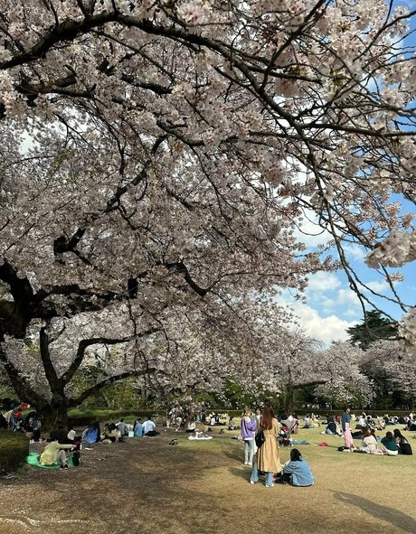 takizawaiori nacktheit nette bild