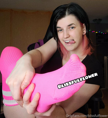 blissfulflower top perfekte archiv