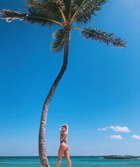 hase nur fans schöne perfekte bild