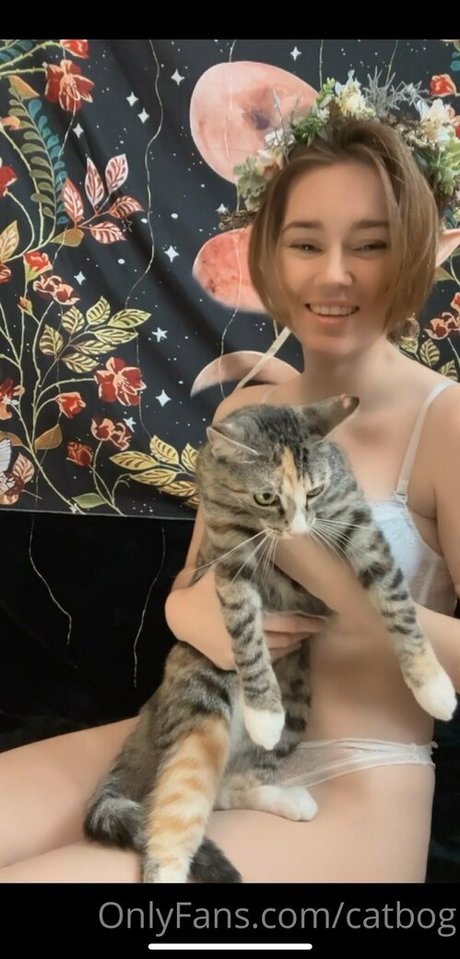 catbog freie top archiv