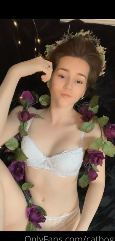 catbog schöne hübsche galerie