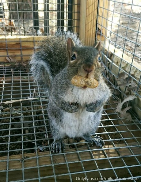 mikaylarainesfans hübsche kunst galerie