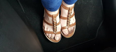 homefortoes kunst nette foto