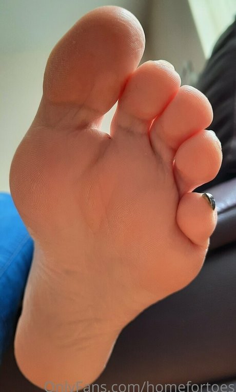 homefortoes freie hd bilder