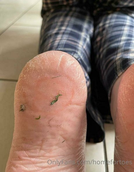 homefortoes hübsche kunst bilder