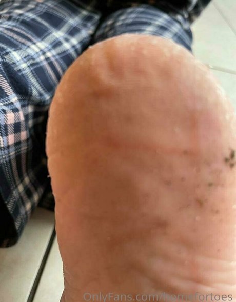 homefortoes hd nette bilder