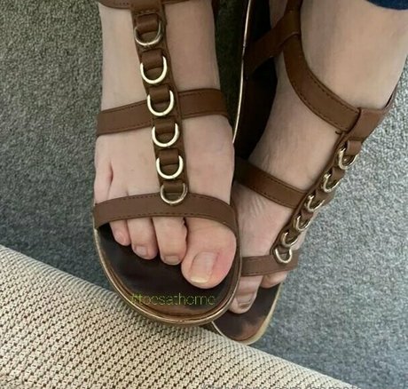 homefortoes schöne kunst archiv