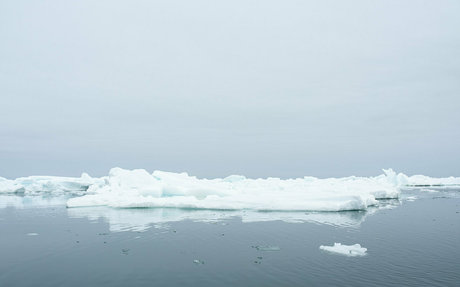 iceicelady heiße hd bilder