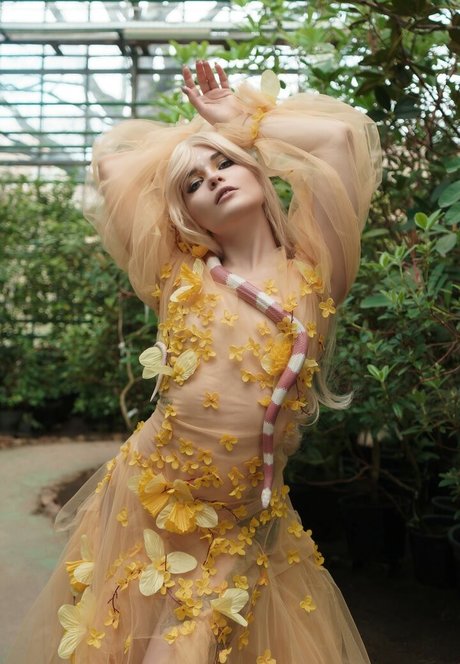 arabische muschi nur fans beste schöne galerie