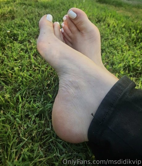 msdidikvip top sex galerie