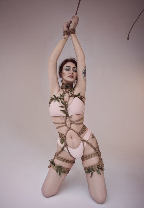 anwalt onlyfans beste erwachsene bild