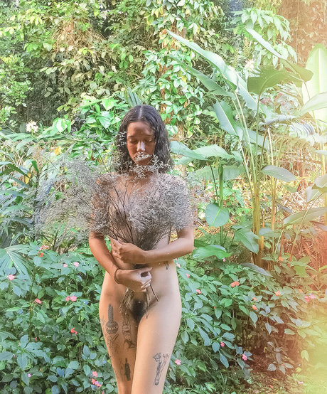 Balegat perfekte top galerien