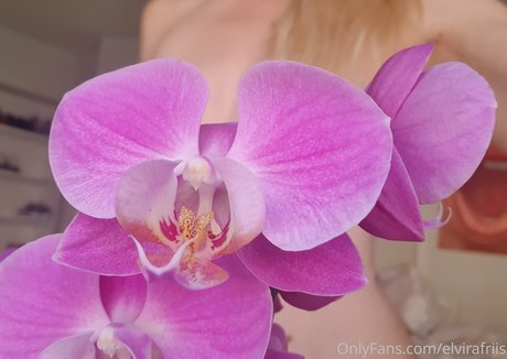 elvirafriis xxx galerie