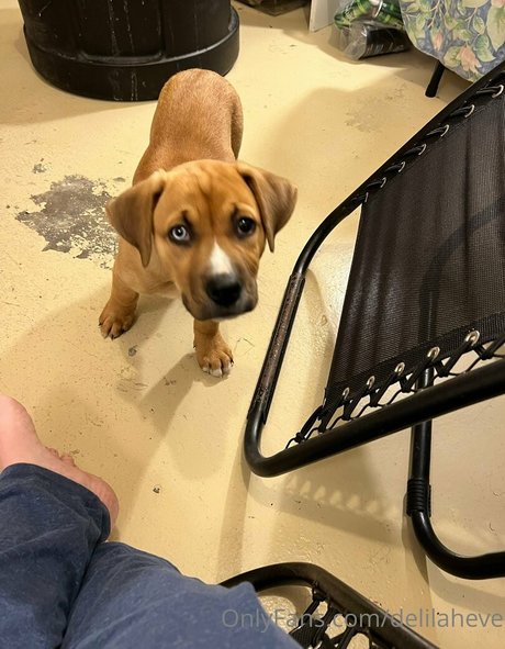 delilaheve nacktheit xxx galerien