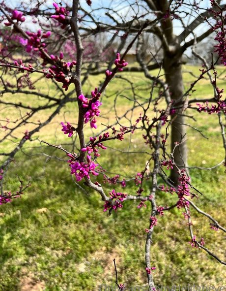 delilaheve erwachsene nackte galerien