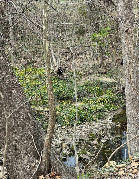 delilaheve kostenlose porno galerien