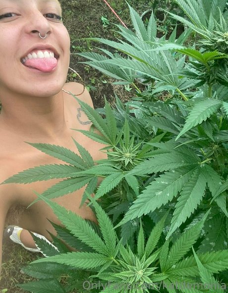 katdemonia model kostenlose bild