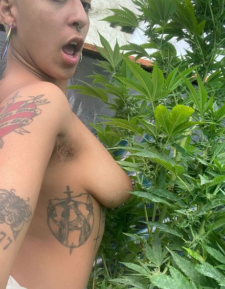 katdemonia top erotische foto