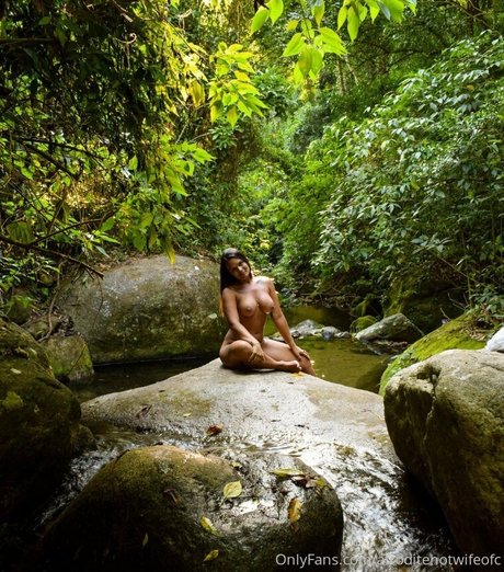 ofcafroditerj sex archiv