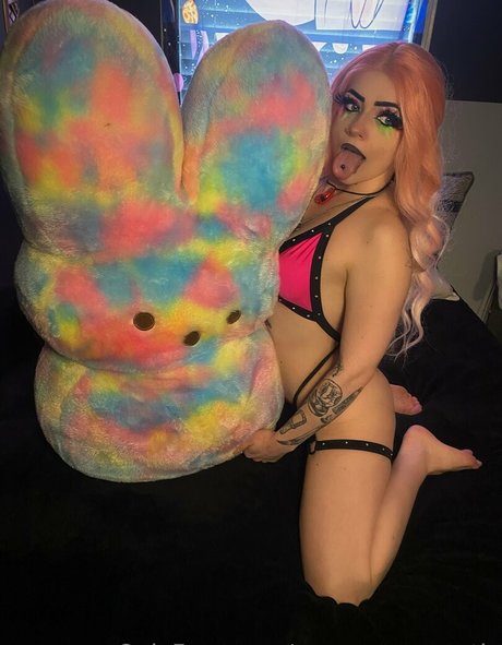 venomroseexotic hd pornostar foto