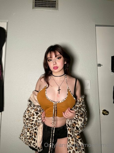 angelgutz freie exklusive archiv