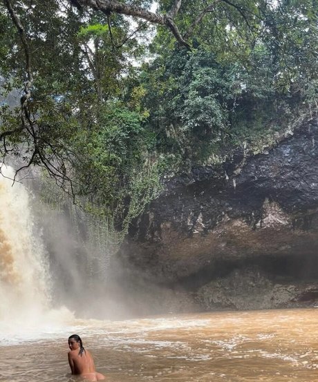 Seashark kunst nette bilder