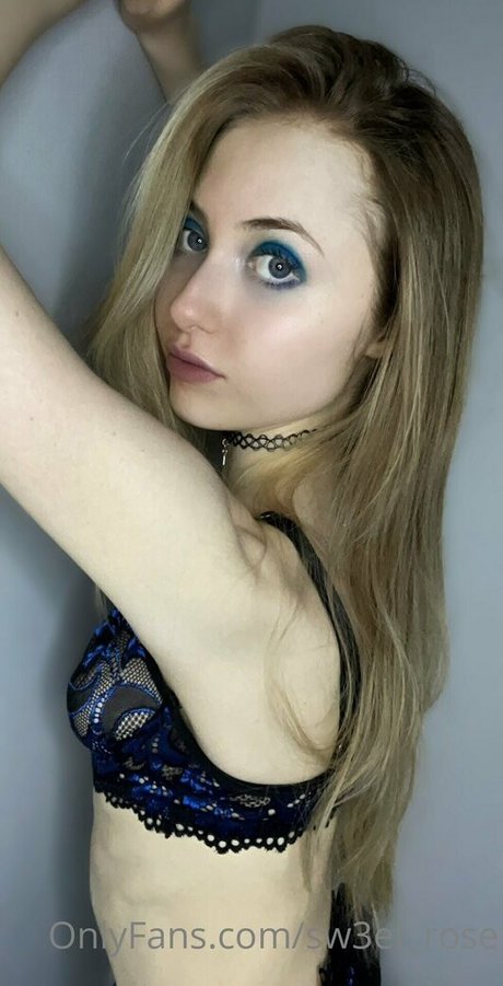 Sweet Rose schöne freie fotos