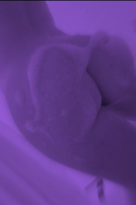 tsund3r3gf kostenlose pornostar archiv