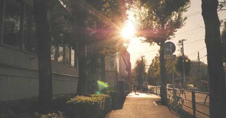 shiina sora712 erwachsene galerie