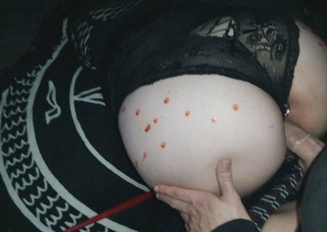 morguecat exklusive schöne fotos