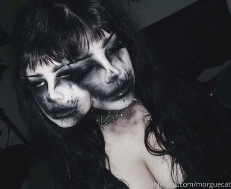 morguecat beste pornostar archiv