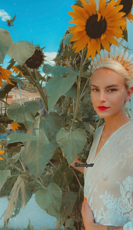 toadlips87free pornostar exklusive archiv