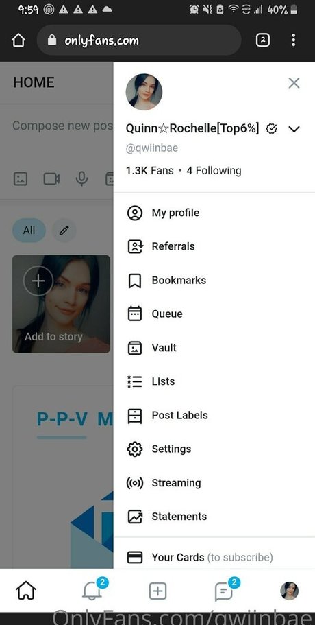 qwiinbae kunst sexy archiv