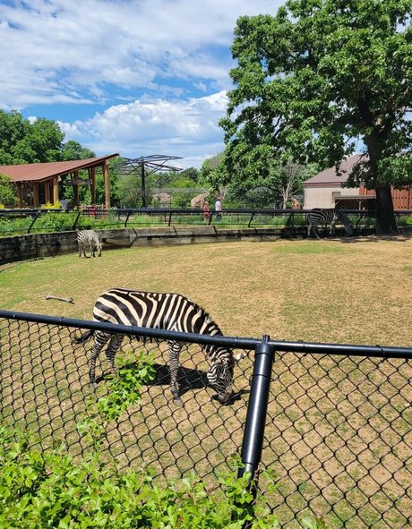 peachyqueen45 pornostar schöne galerie