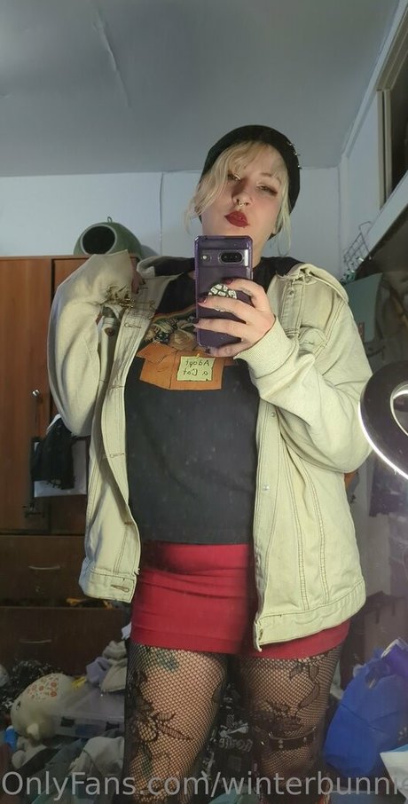 winterbunnieeoffree freie schöne foto