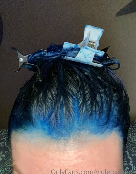 violetcosmos schöne kostenlose bilder