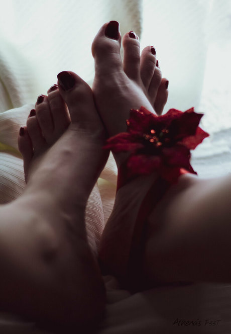 transsexuelle onlyfans nacktheit pornographische galerien