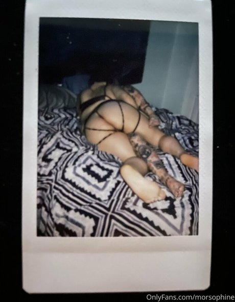 morsophine perfekte kostenlose bilder