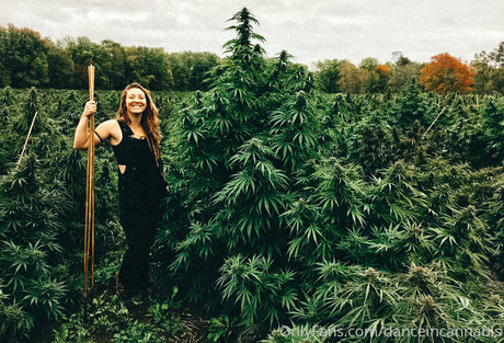 danceincannabis hd pornographische bilder