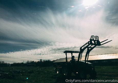 danceincannabis Bilder