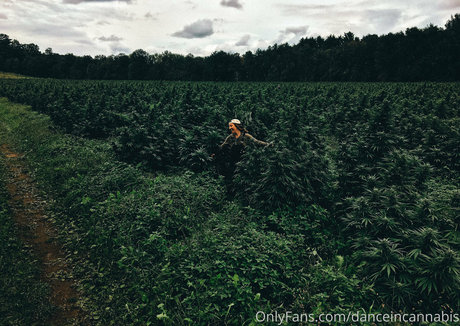 fußball-onlyfans top kunst foto