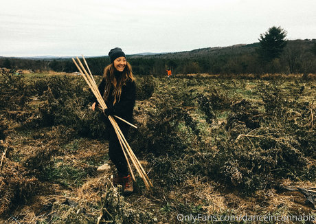 danceincannabis pornographische foto