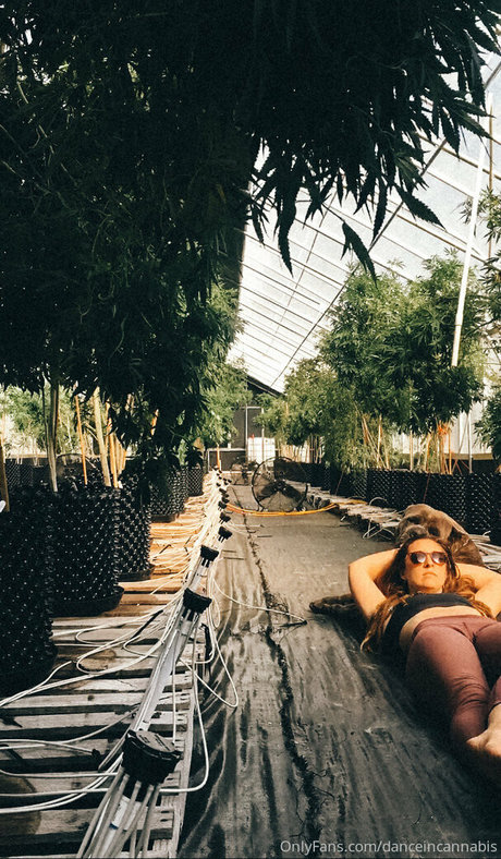 danceincannabis nacktheit nette fotos